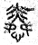 怜(篆书·春秋·石鼓文)
