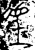 𫊟(金文·战国·战国)