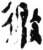 徼(简·秦·岳麓书院)