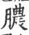 脓(印刷字体·宋·广韵)