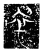 𬋧(传抄·魏·三体石经)