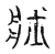壯(传抄·宋·汗简)