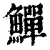 鱓(印刷字体·清·康熙字典)